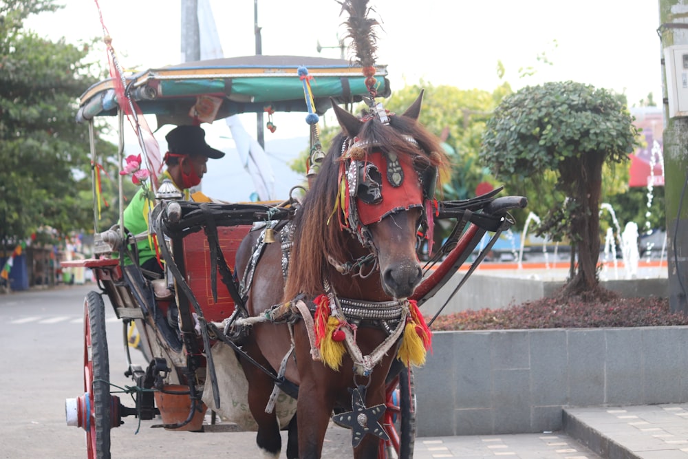 man in blue shirt riding horse carriage during daytime