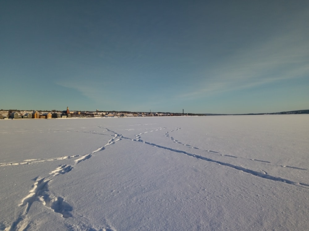 people walking on snow covered field under blue sky during daytime