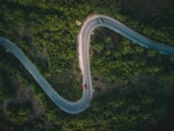 aerial view of green forest