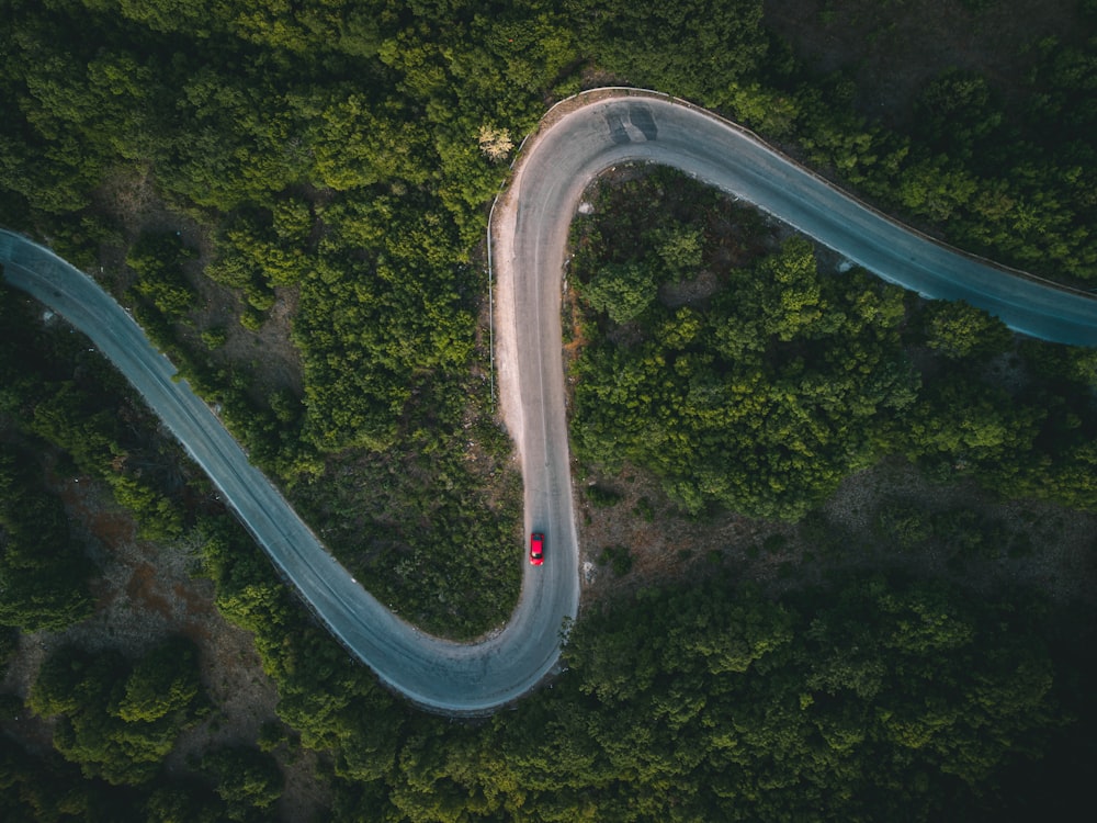 aerial view of green forest