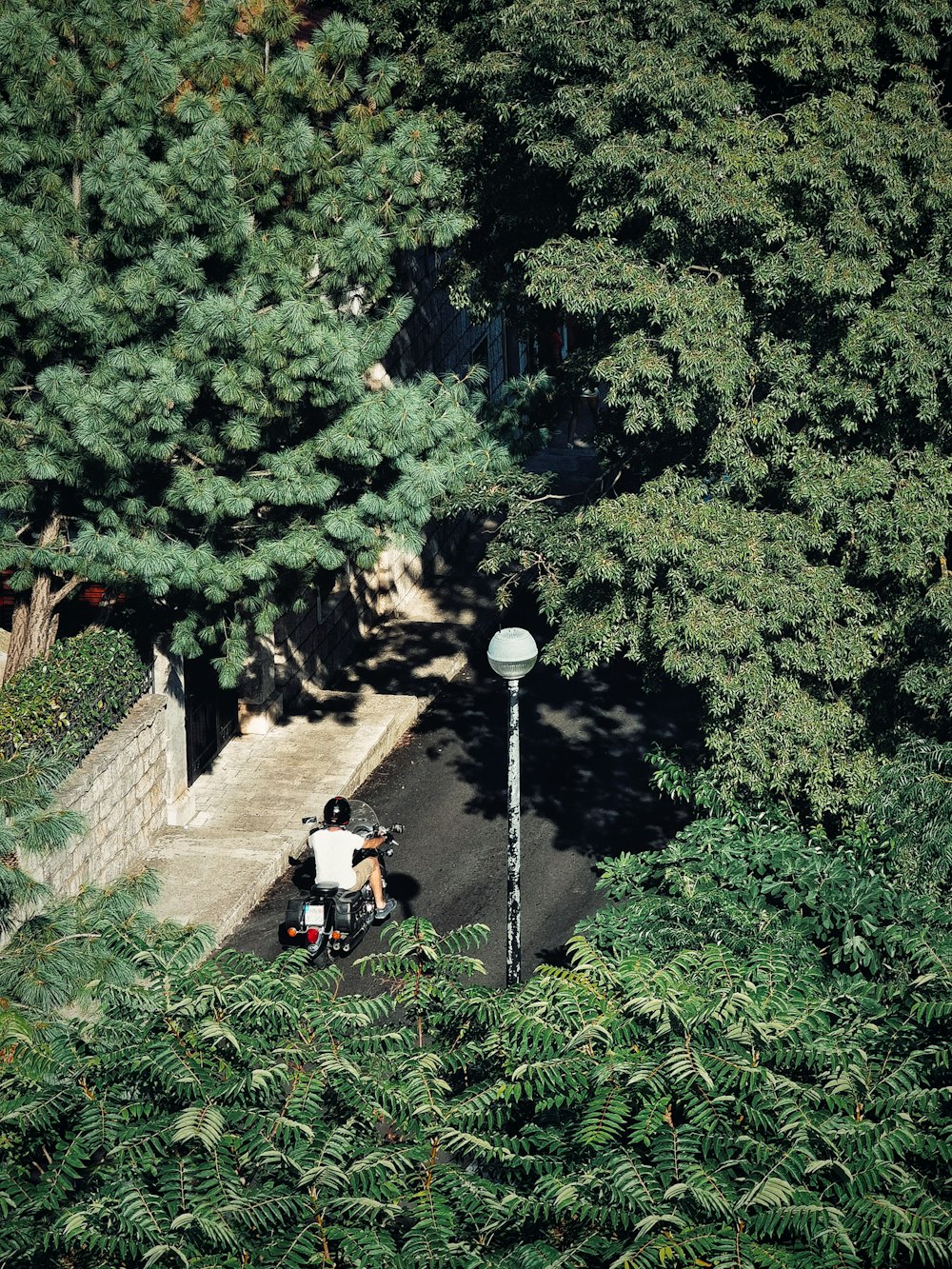 man in black jacket sitting on black and white golf cart