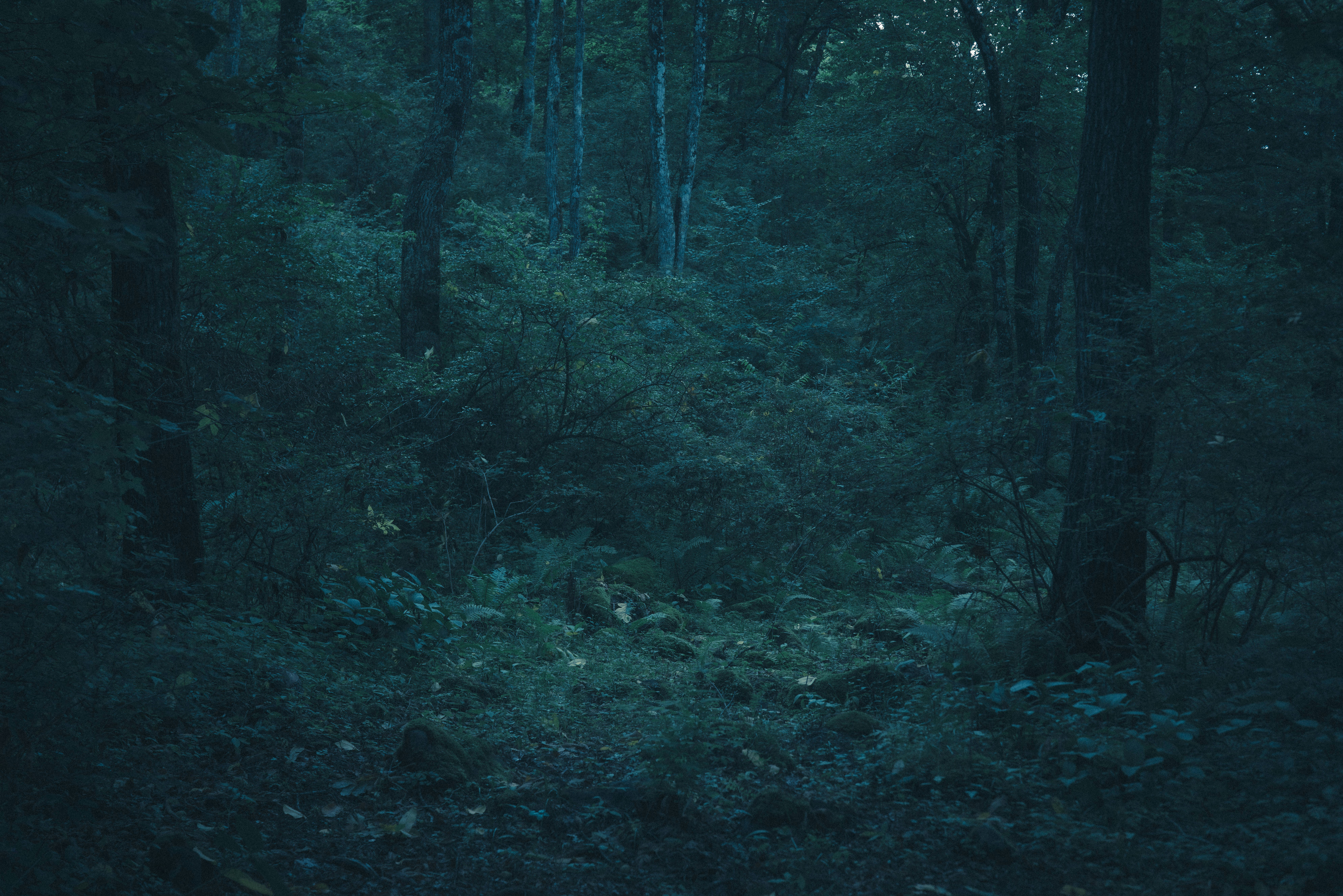 Photo by tokyokohaku