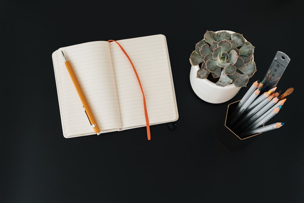 white spiral notebook with brown pencil