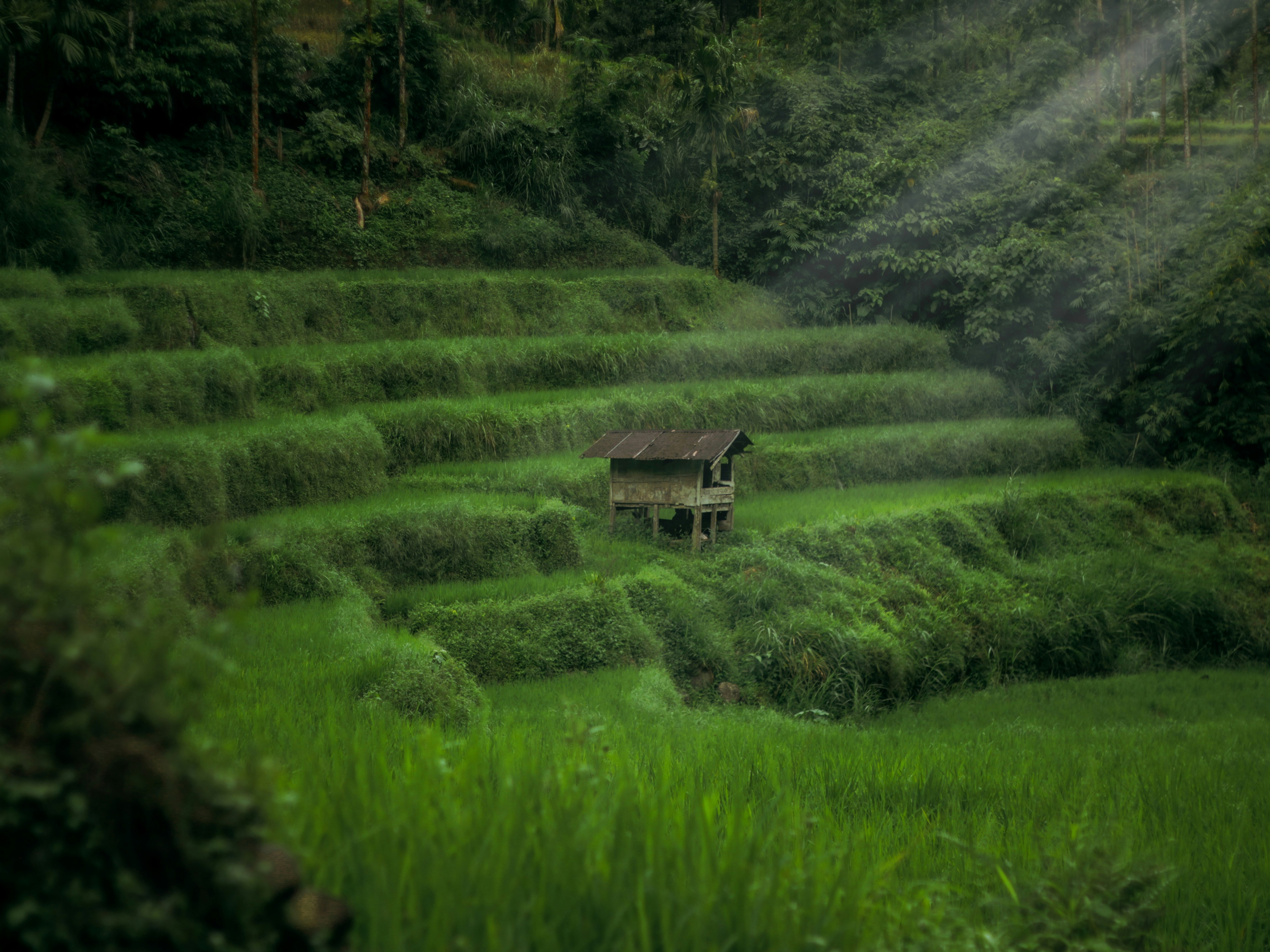 Photo by faaidhulhaadi