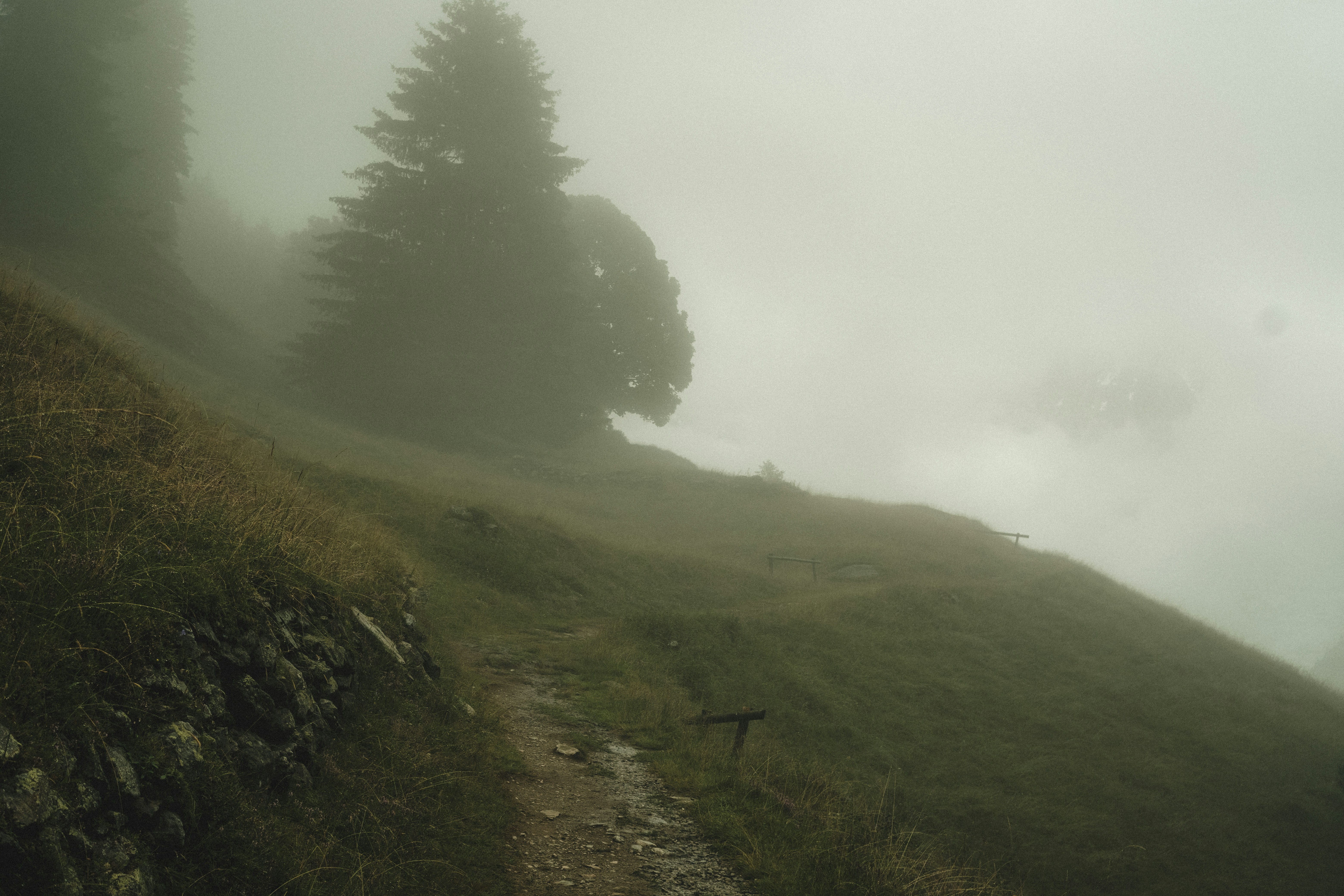 Photo by aurelienthms
