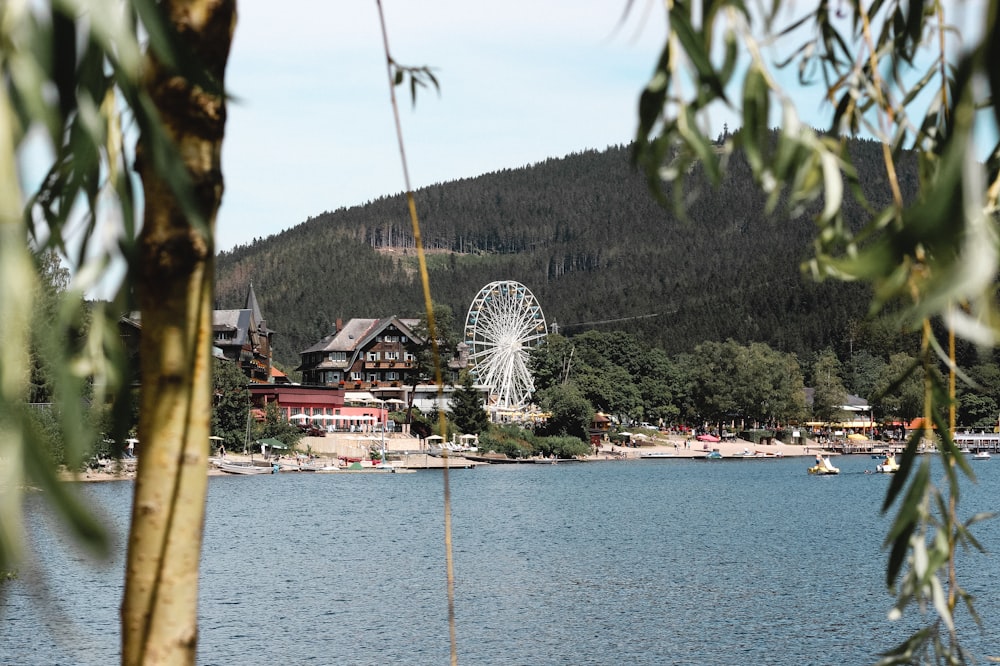 white ferris wheel near body of water during daytime