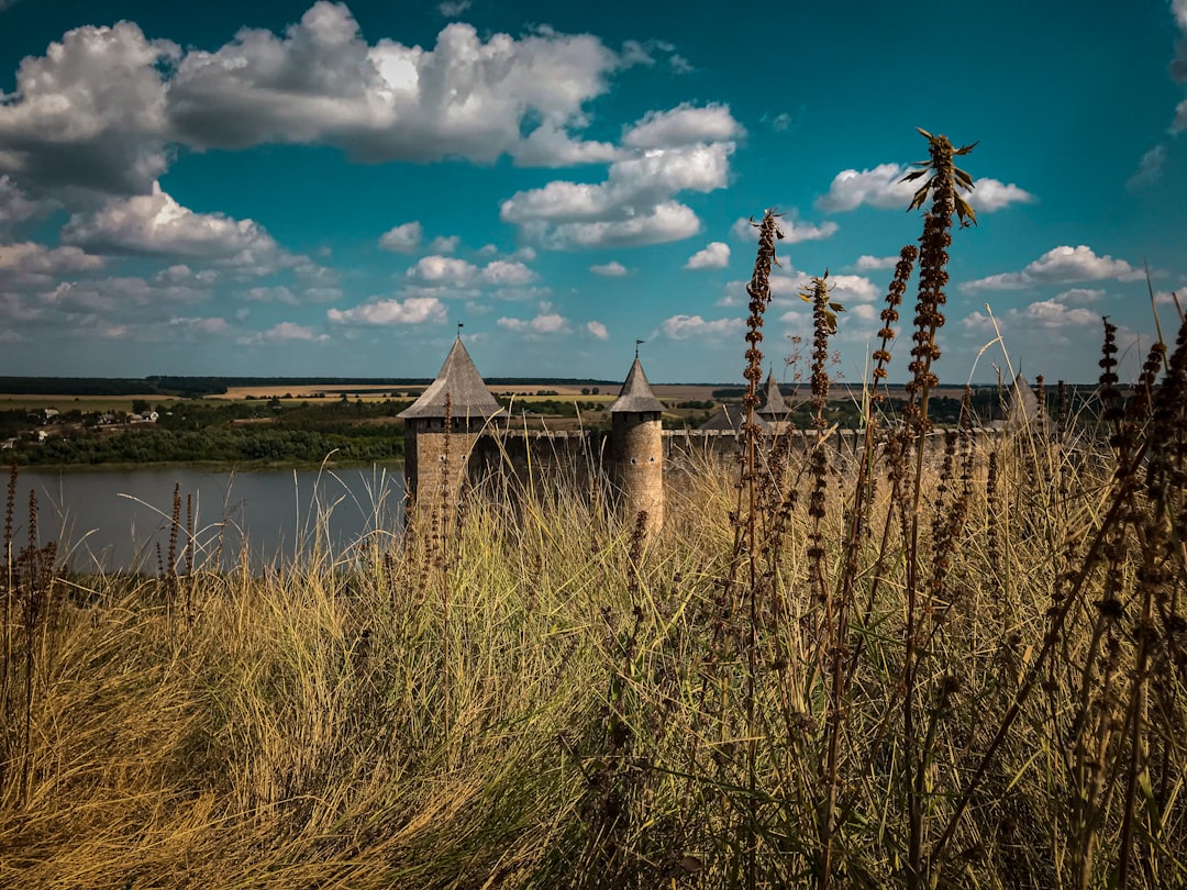 brown wooden dock on lake under blue sky during daytime