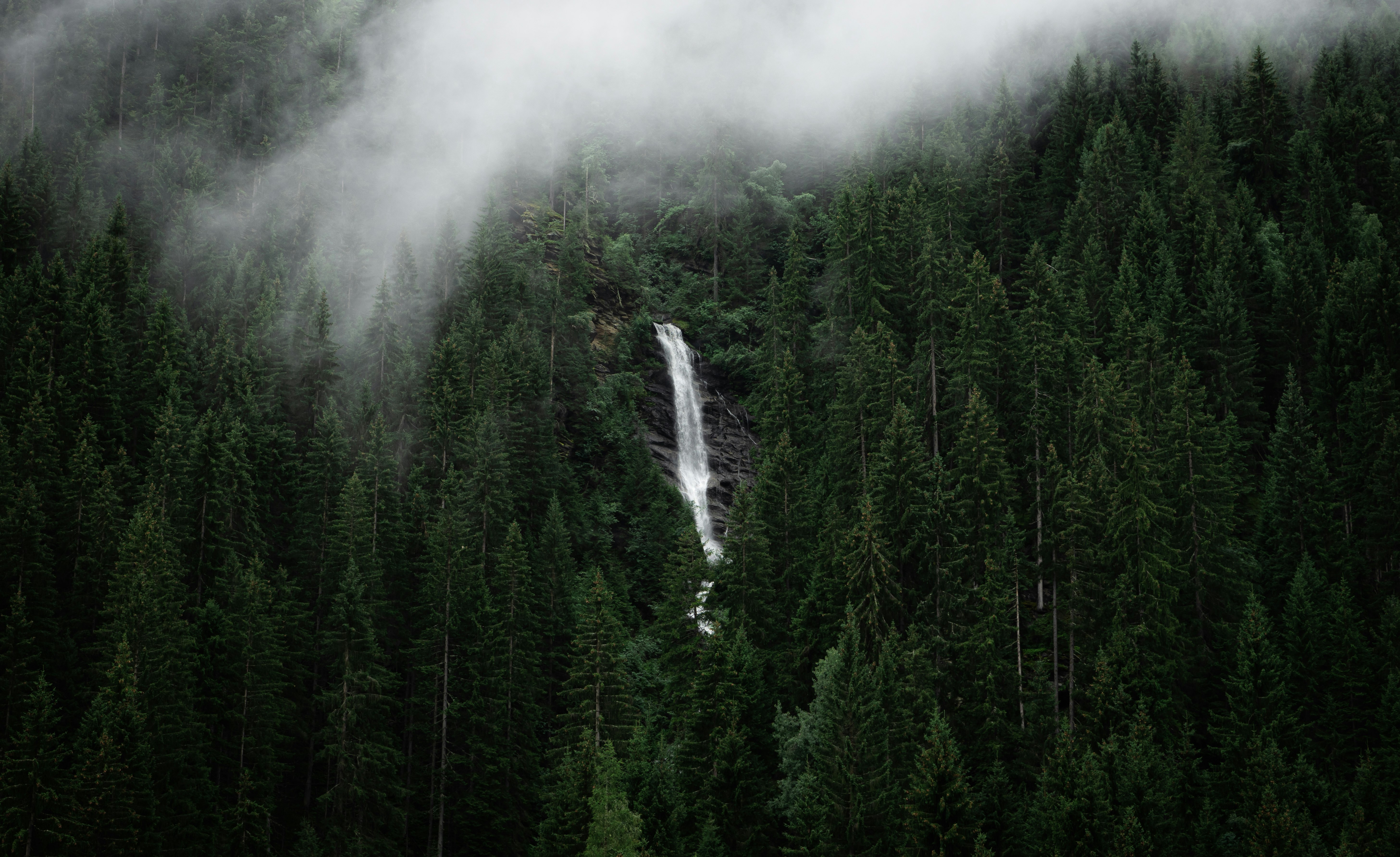 green trees under white clouds