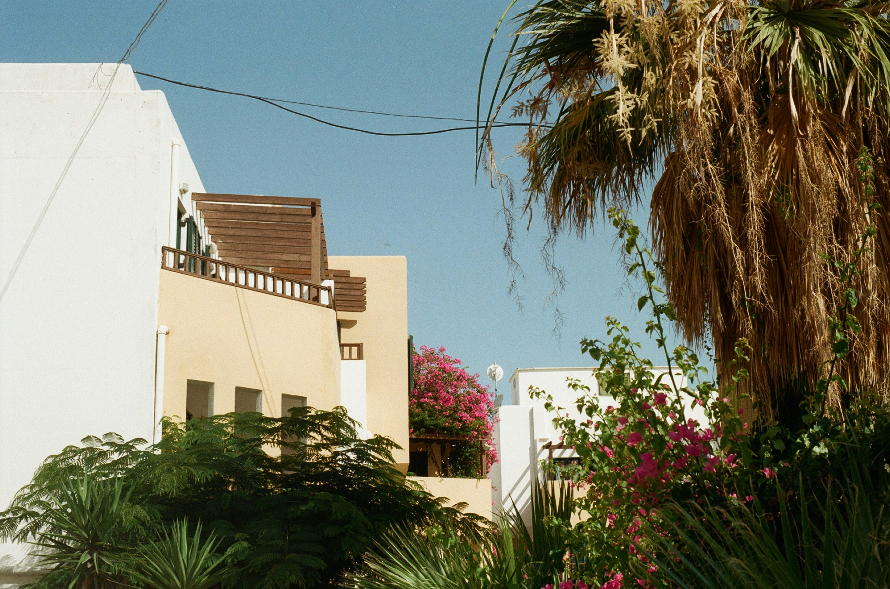 green trees near white concrete building during daytime