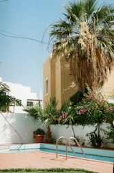 An outdoor scene featuring a residential garden area with a small empty swimming pool. Tall palm trees and various green plants with pink flowers surround the pool, creating a lush atmosphere. A beige and white building with distinct geometric lines provides a backdrop against a clear blue sky.