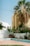 An outdoor scene featuring a residential garden area with a small empty swimming pool. Tall palm trees and various green plants with pink flowers surround the pool, creating a lush atmosphere. A beige and white building with distinct geometric lines provides a backdrop against a clear blue sky.