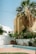 An outdoor scene featuring a residential garden area with a small empty swimming pool. Tall palm trees and various green plants with pink flowers surround the pool, creating a lush atmosphere. A beige and white building with distinct geometric lines provides a backdrop against a clear blue sky.