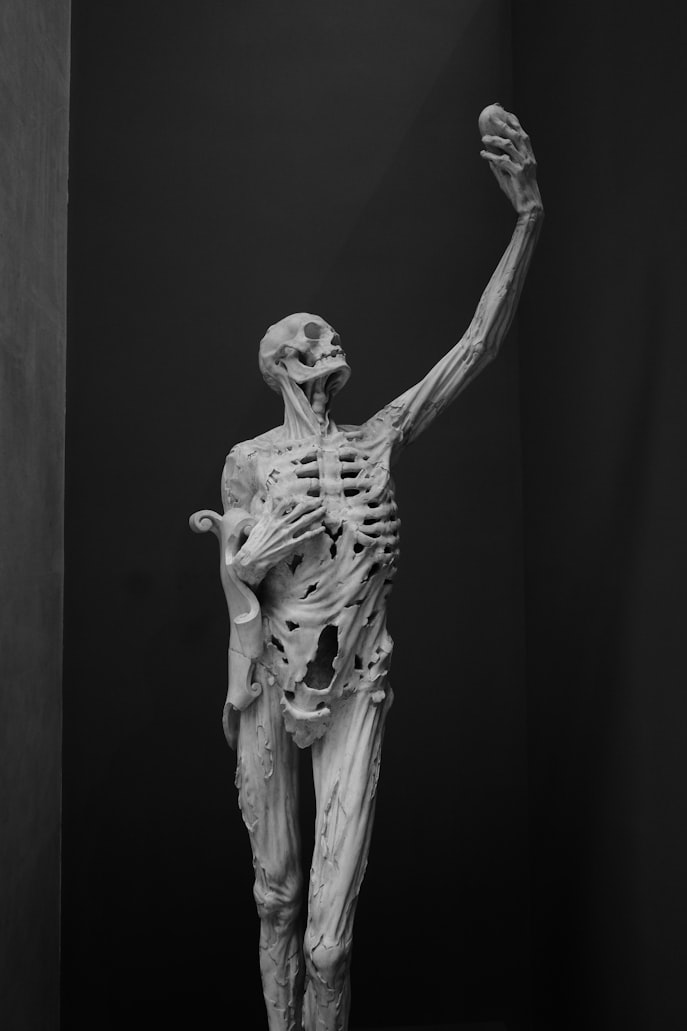 Human bones skeleton facts