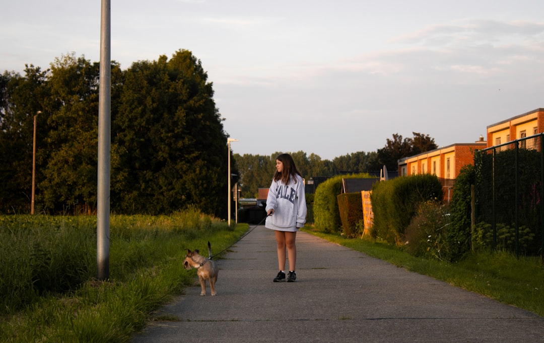 woman in white t-shirt and blue denim shorts walking with white and brown dog on on on on on