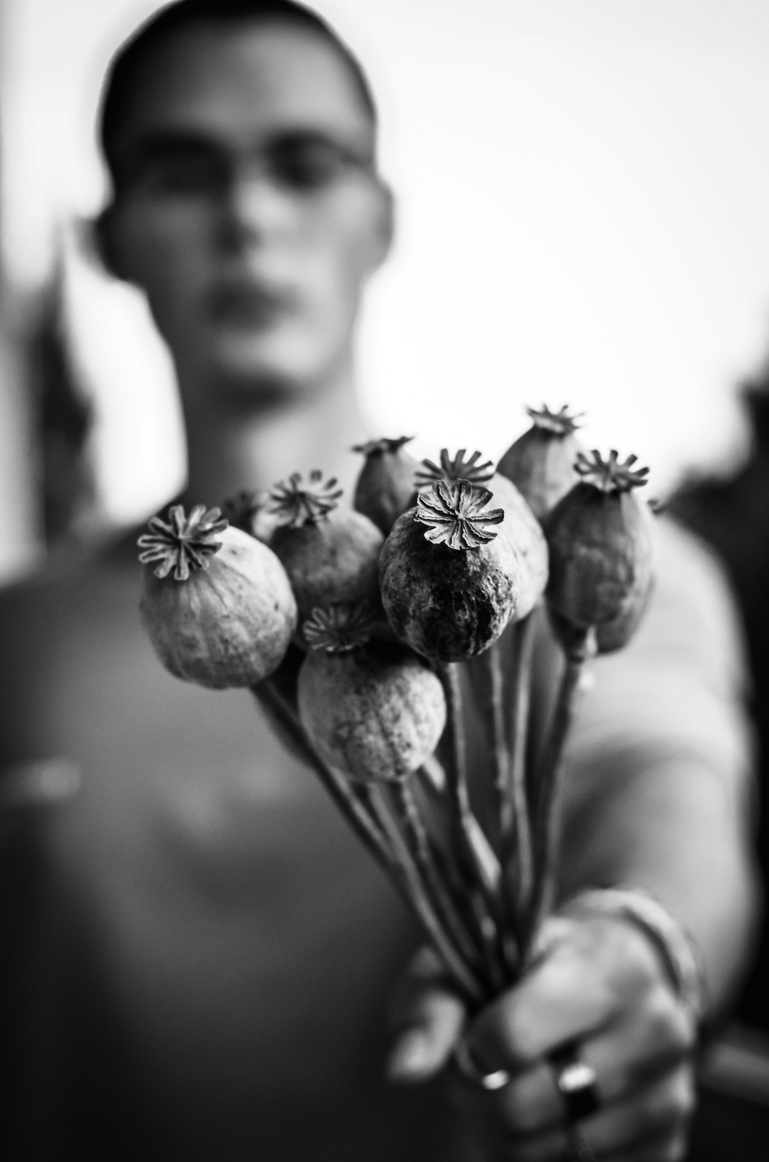 Grayscale photo of flower buds photo Free Příčný řez Image on Unsplash