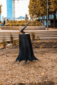 black umbrella on brown dried leaves