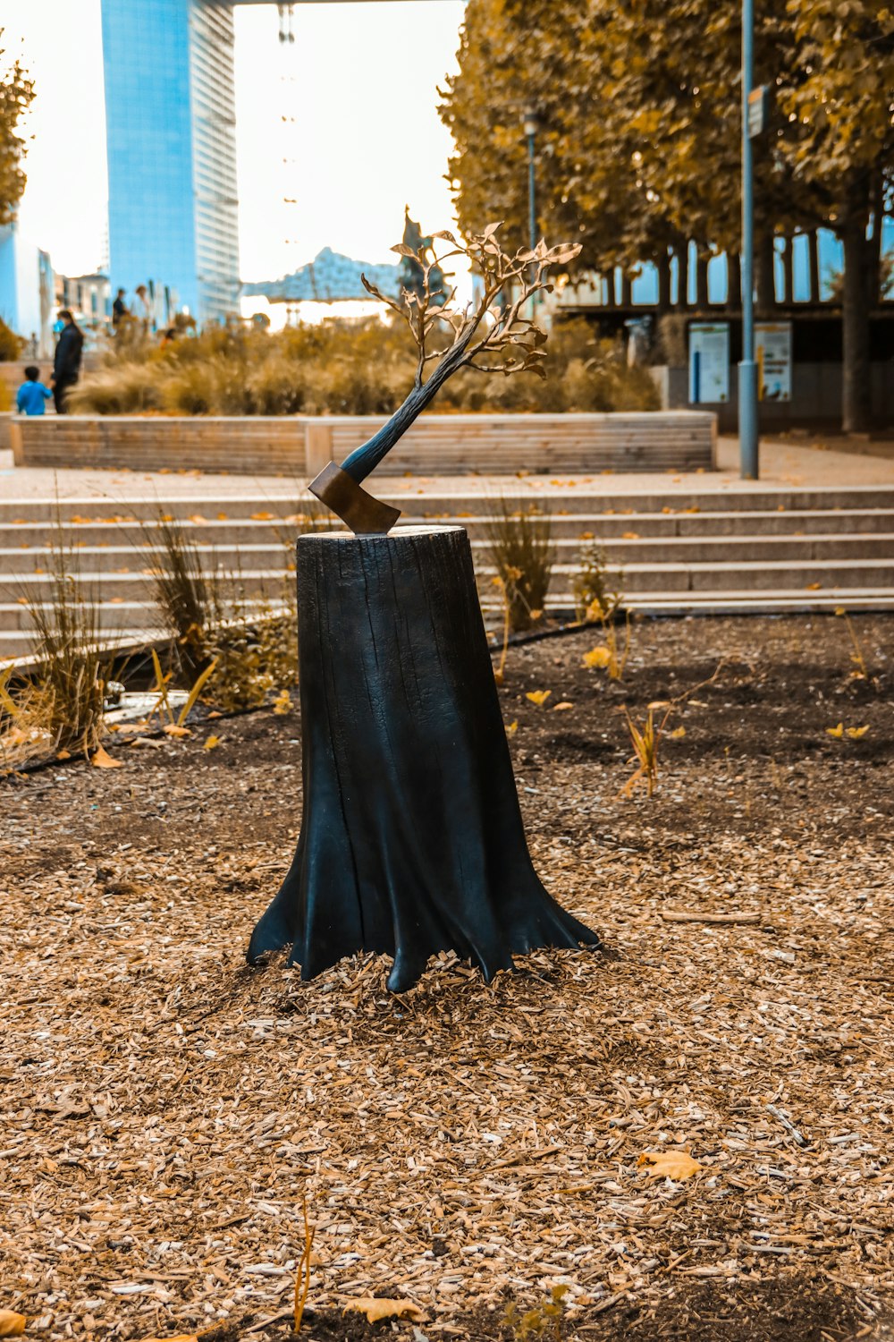 black umbrella on brown dried leaves