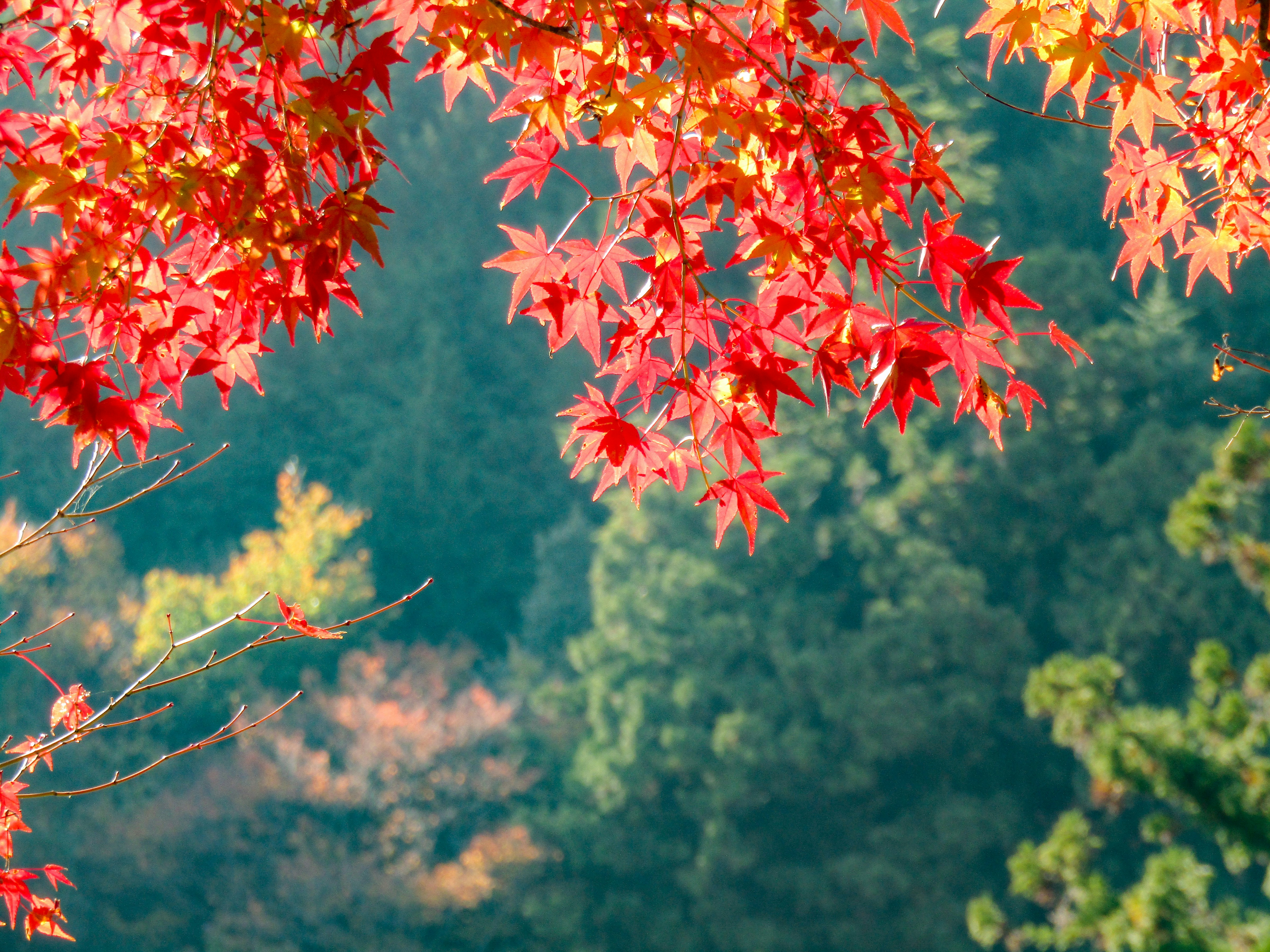 Photo by heppoko_yama