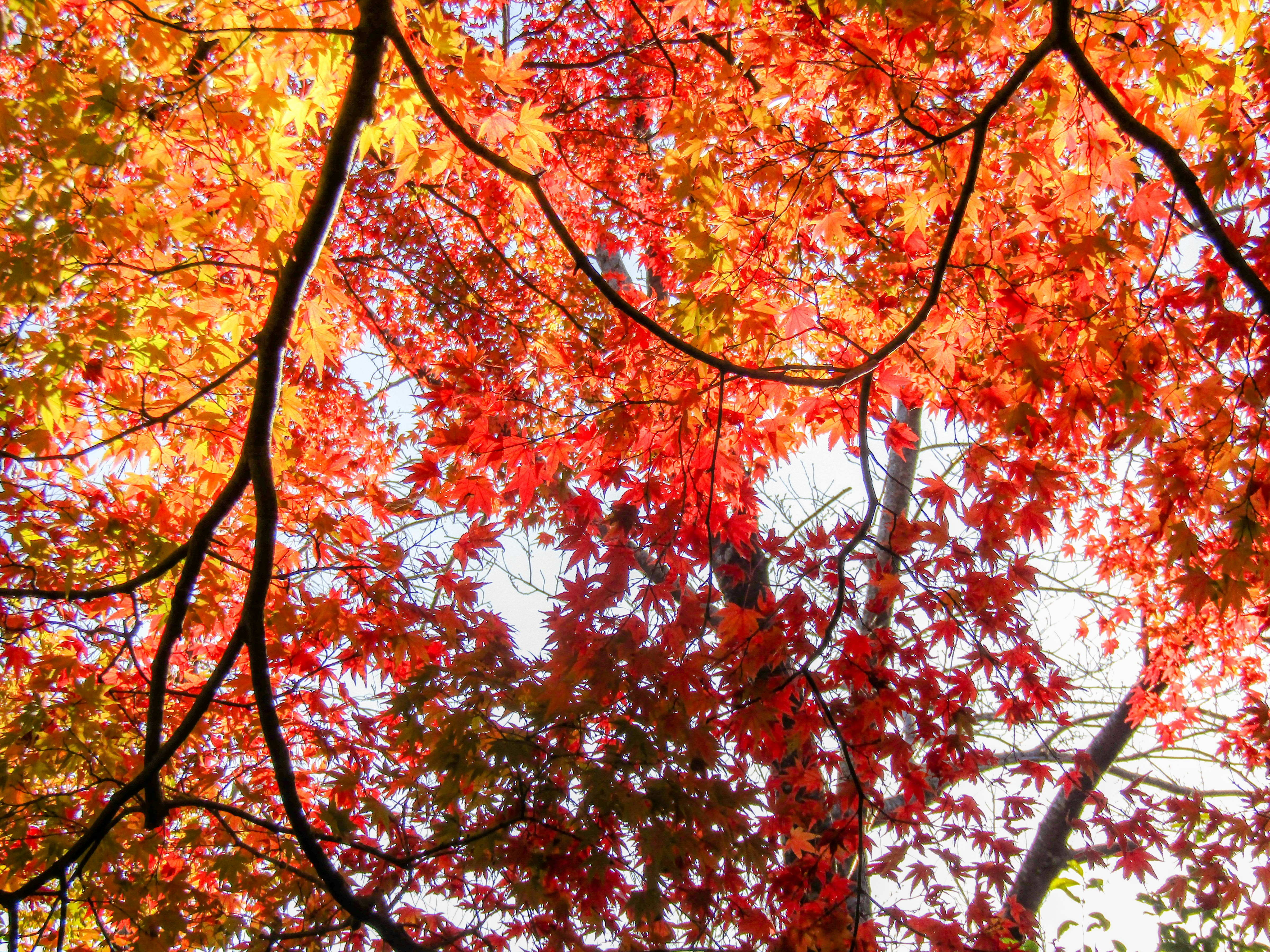 Photo by heppoko_yama