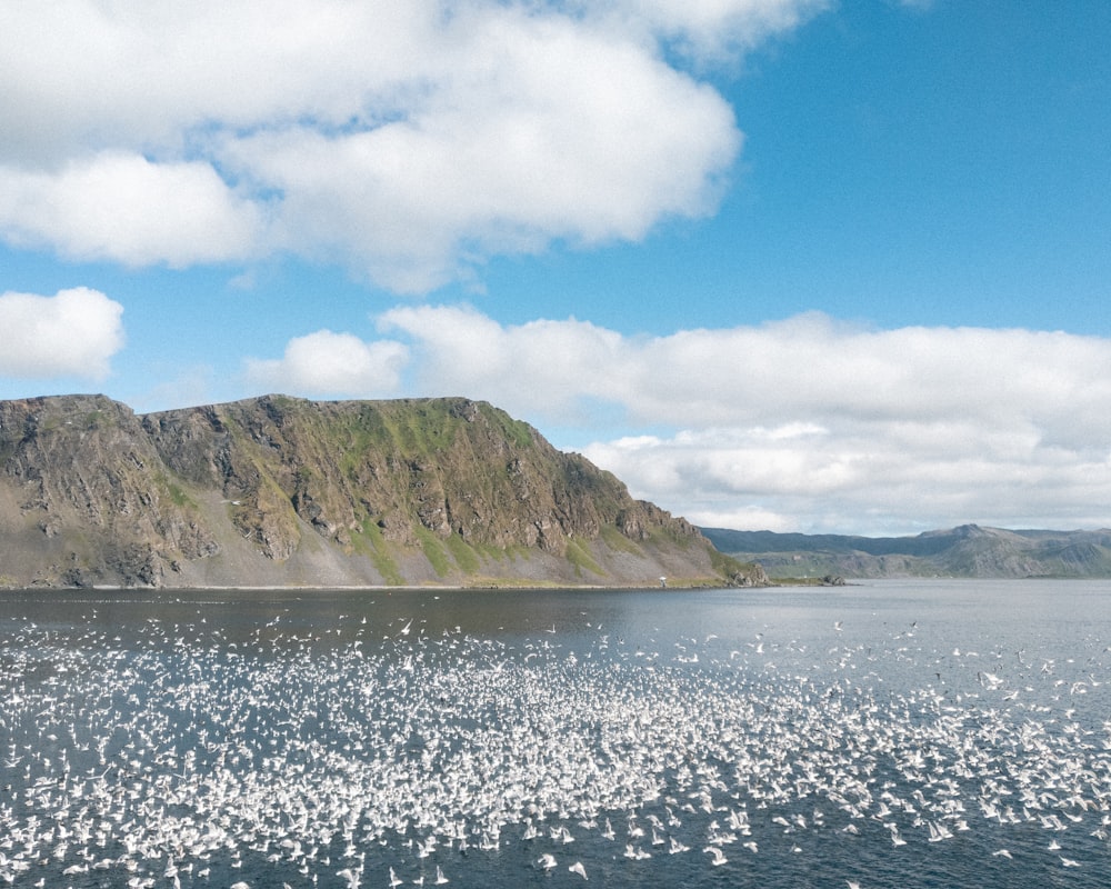 green mountain beside body of water under blue sky during daytime