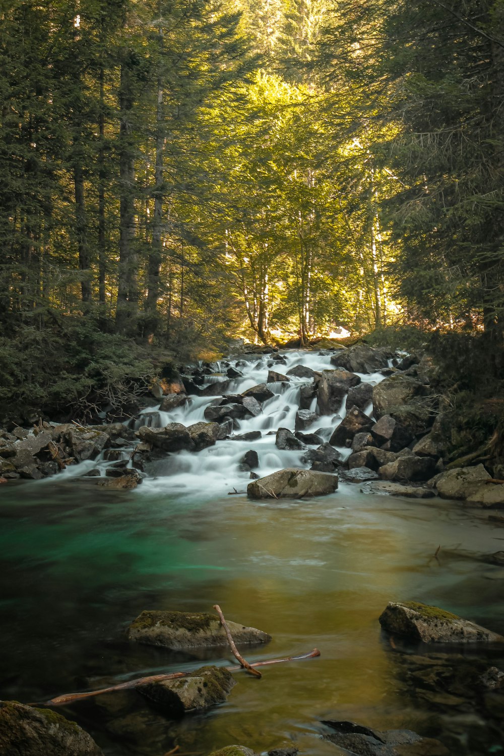 river in the middle of forest during daytime