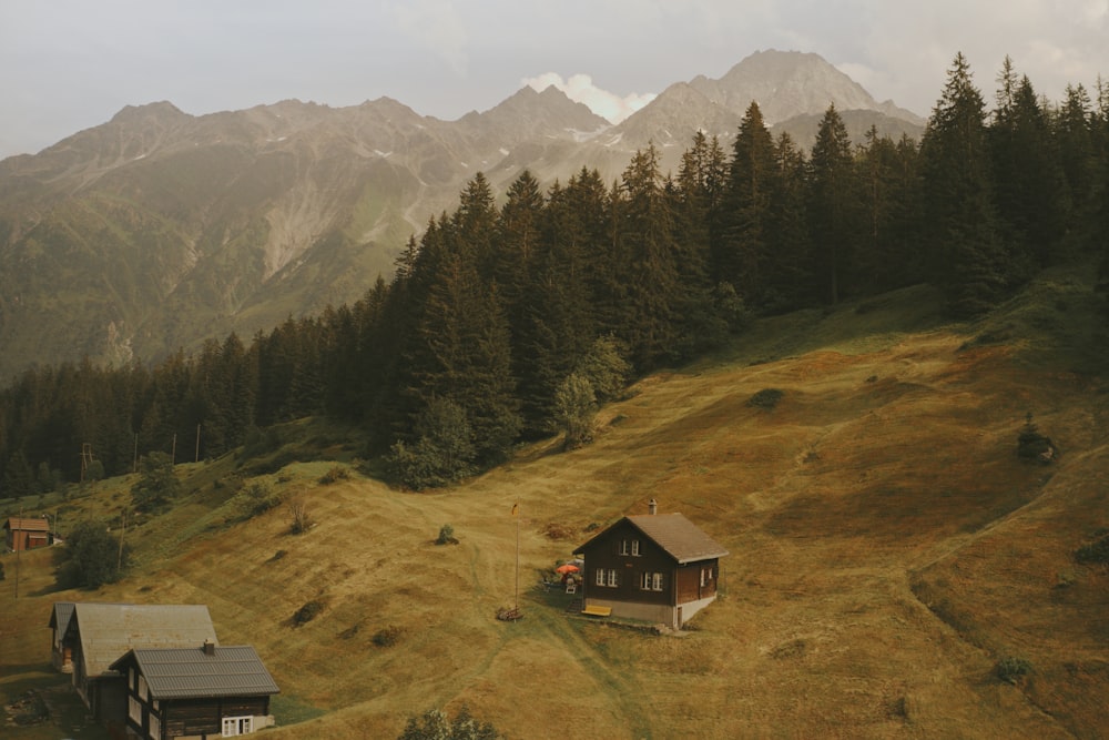 maison brune et blanche sur un champ d’herbe verte près d’arbres verts et de montagnes pendant la journée