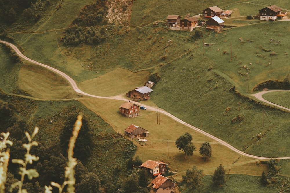 Maisons sur un champ d’herbe verte pendant la journée