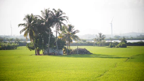 A panoramic view of the Bio Energy Ingenieros facility surrounded by lush Peruvian landscape