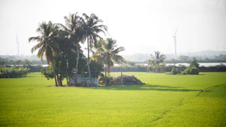 A panoramic view of the Bio Energy Ingenieros facility surrounded by lush Peruvian landscape