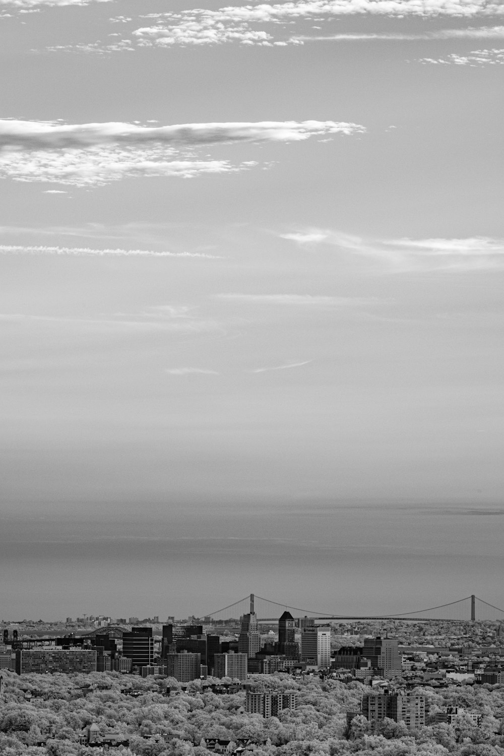 Photo en niveaux de gris de la mer et des nuages