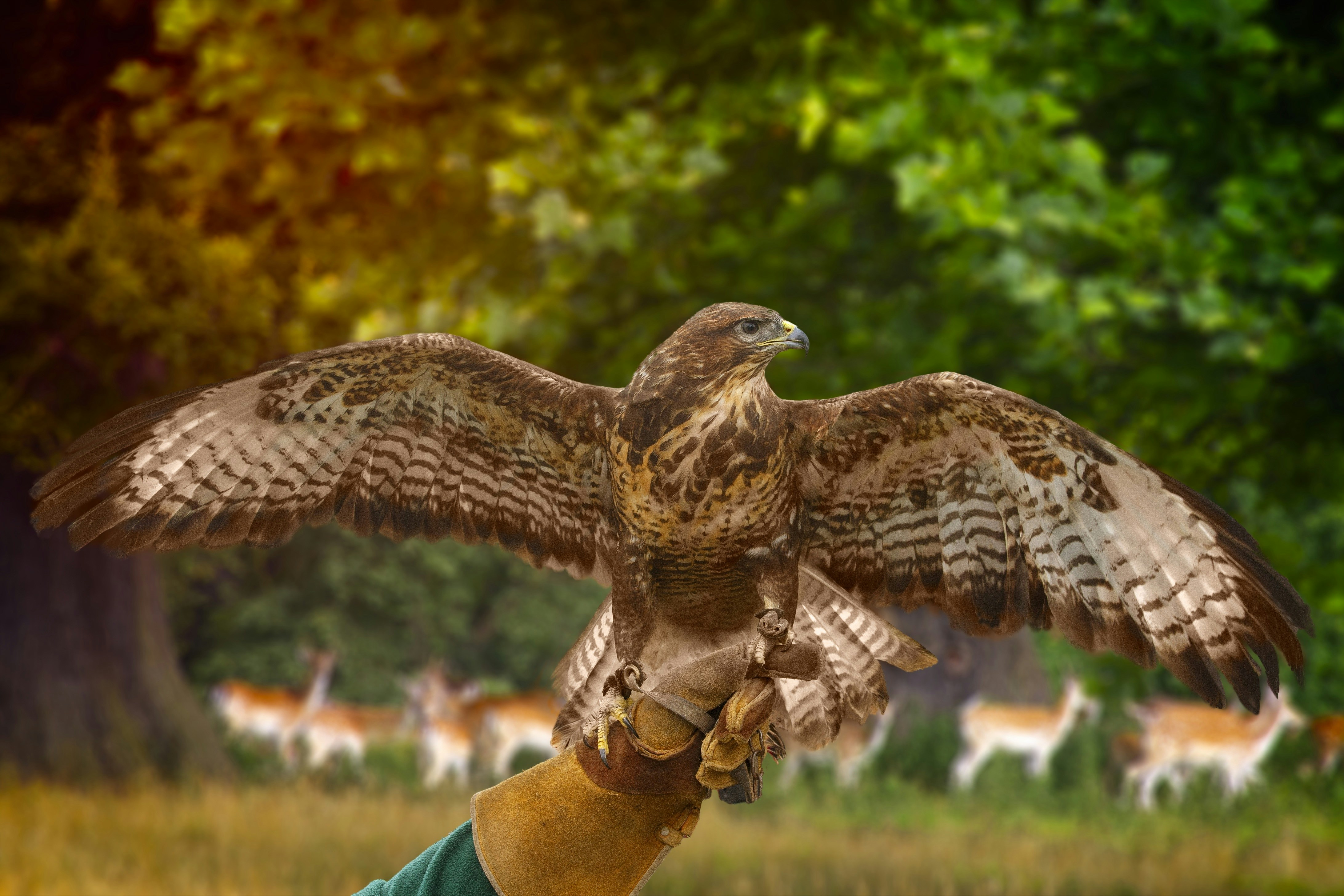 Photo by iankelsall1