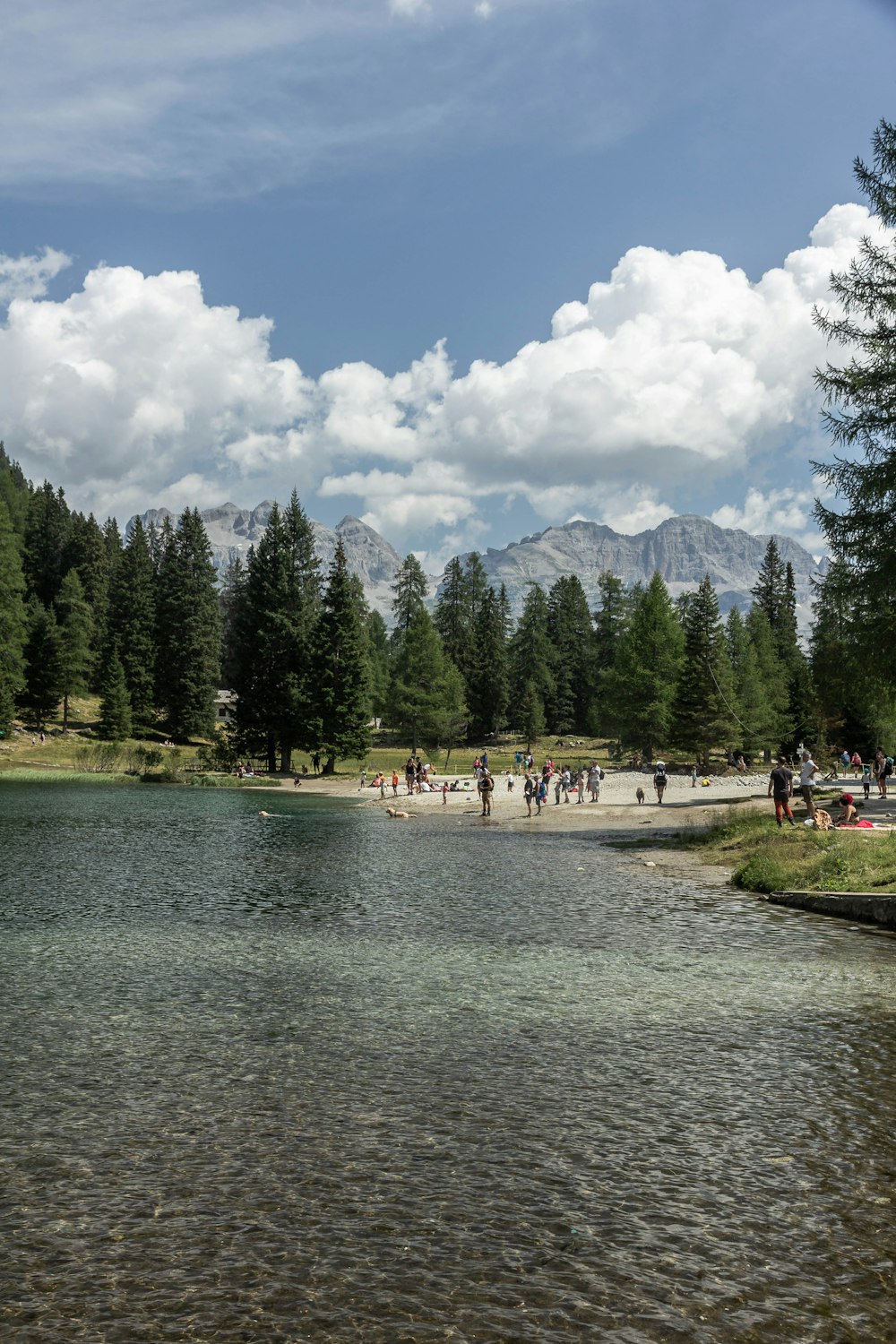 green trees near lake under blue sky during daytime