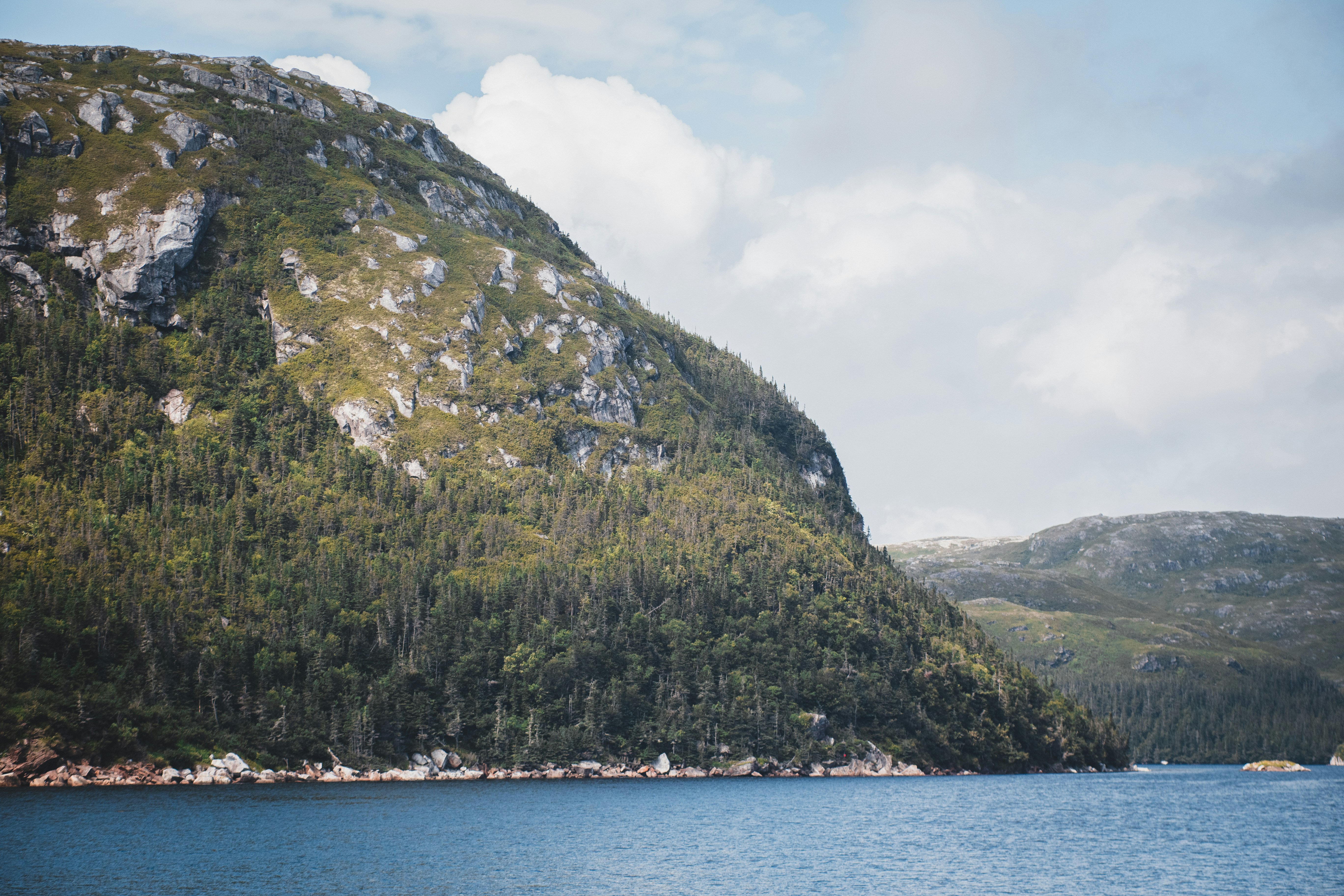 Photo by introspectivedsgn