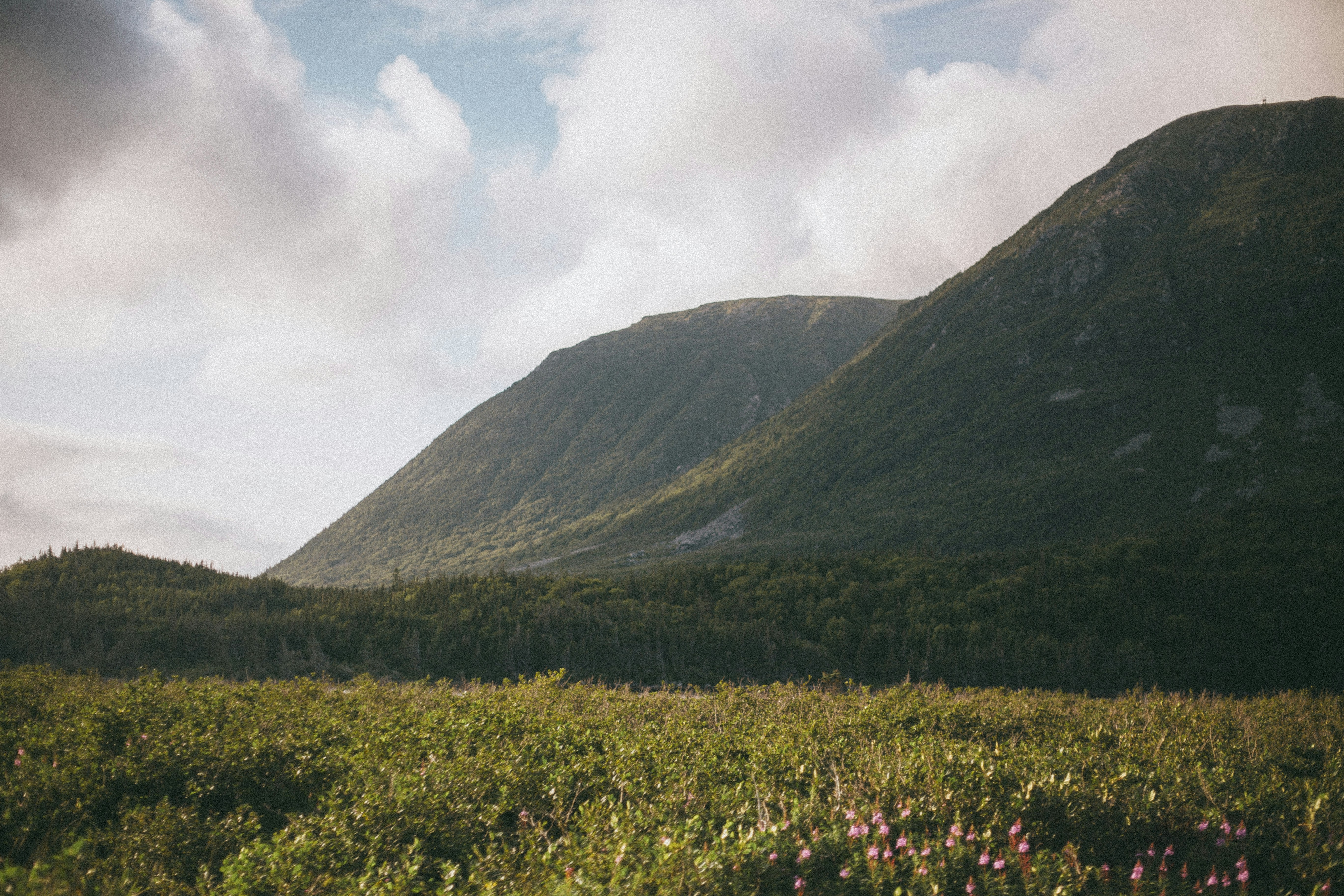 Photo by introspectivedsgn