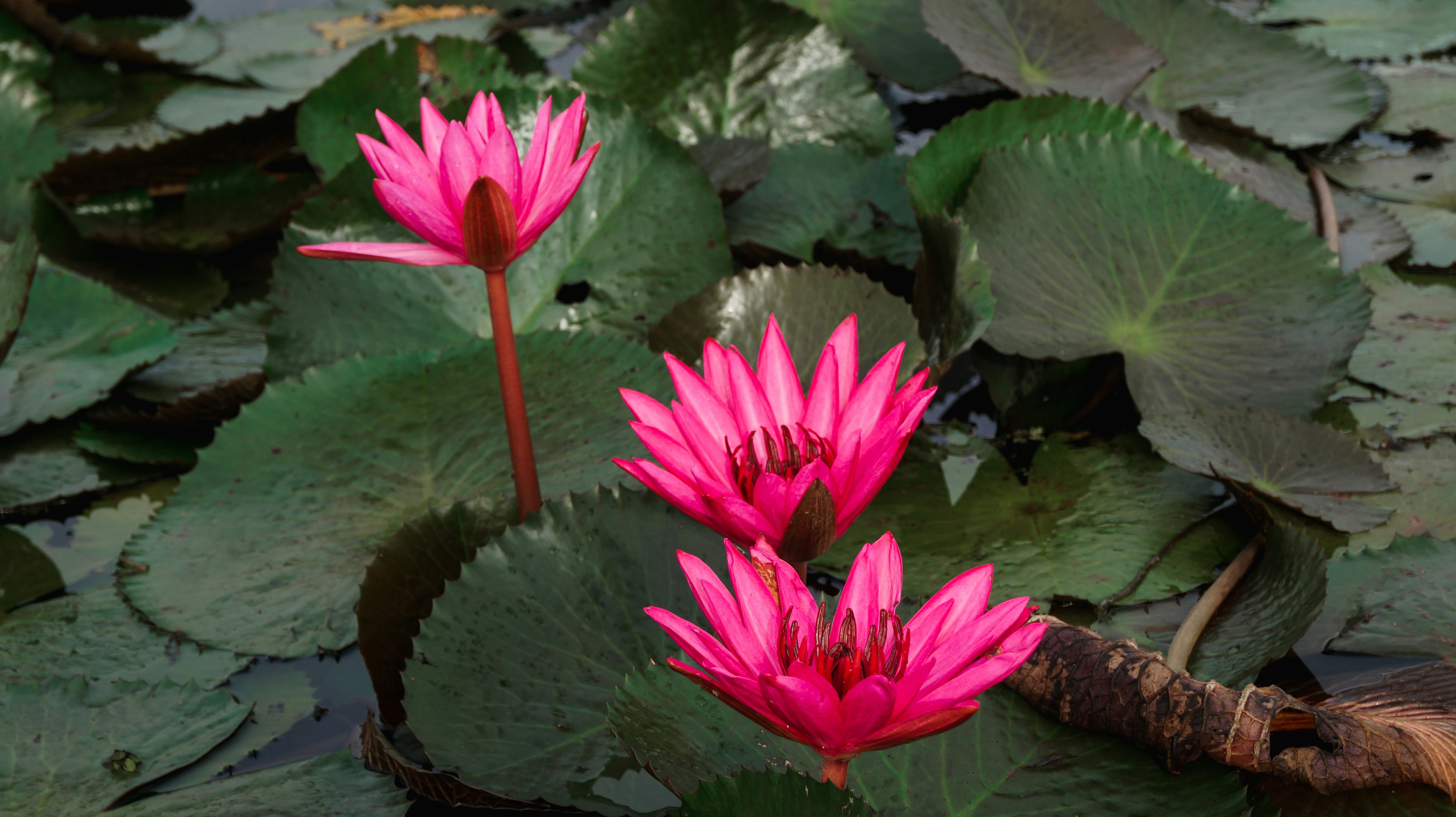 Photo by prince_jake