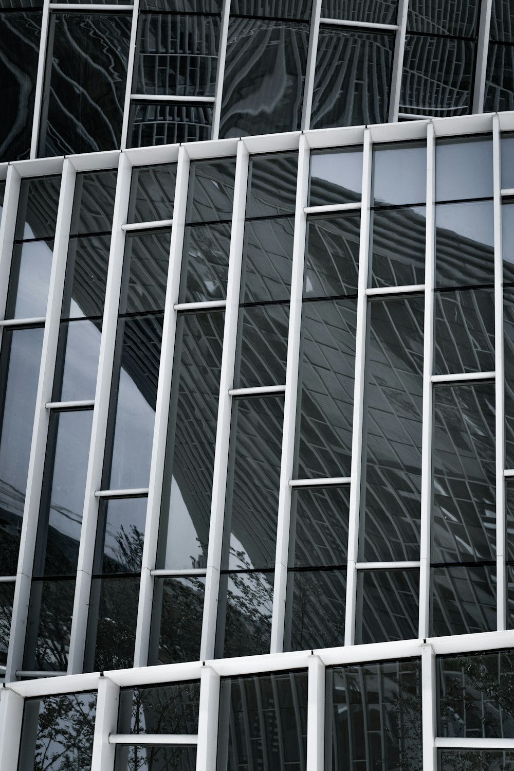 white and black glass walled building