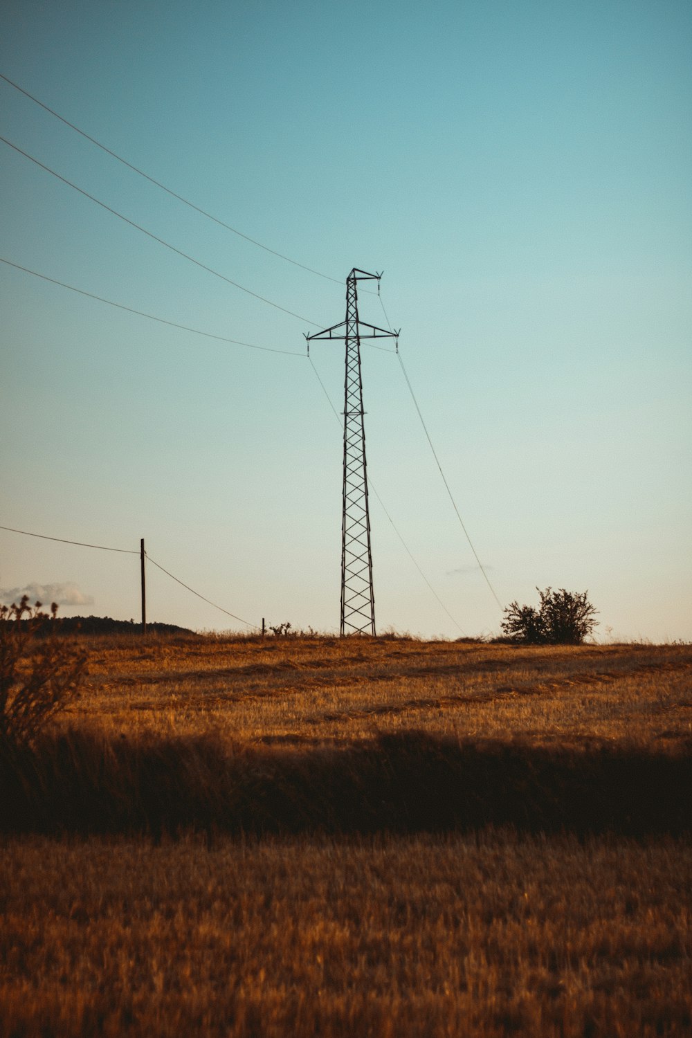 brown electric post on brown grass field during daytime