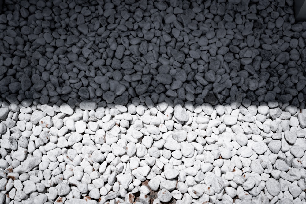 white and gray pebbles on ground