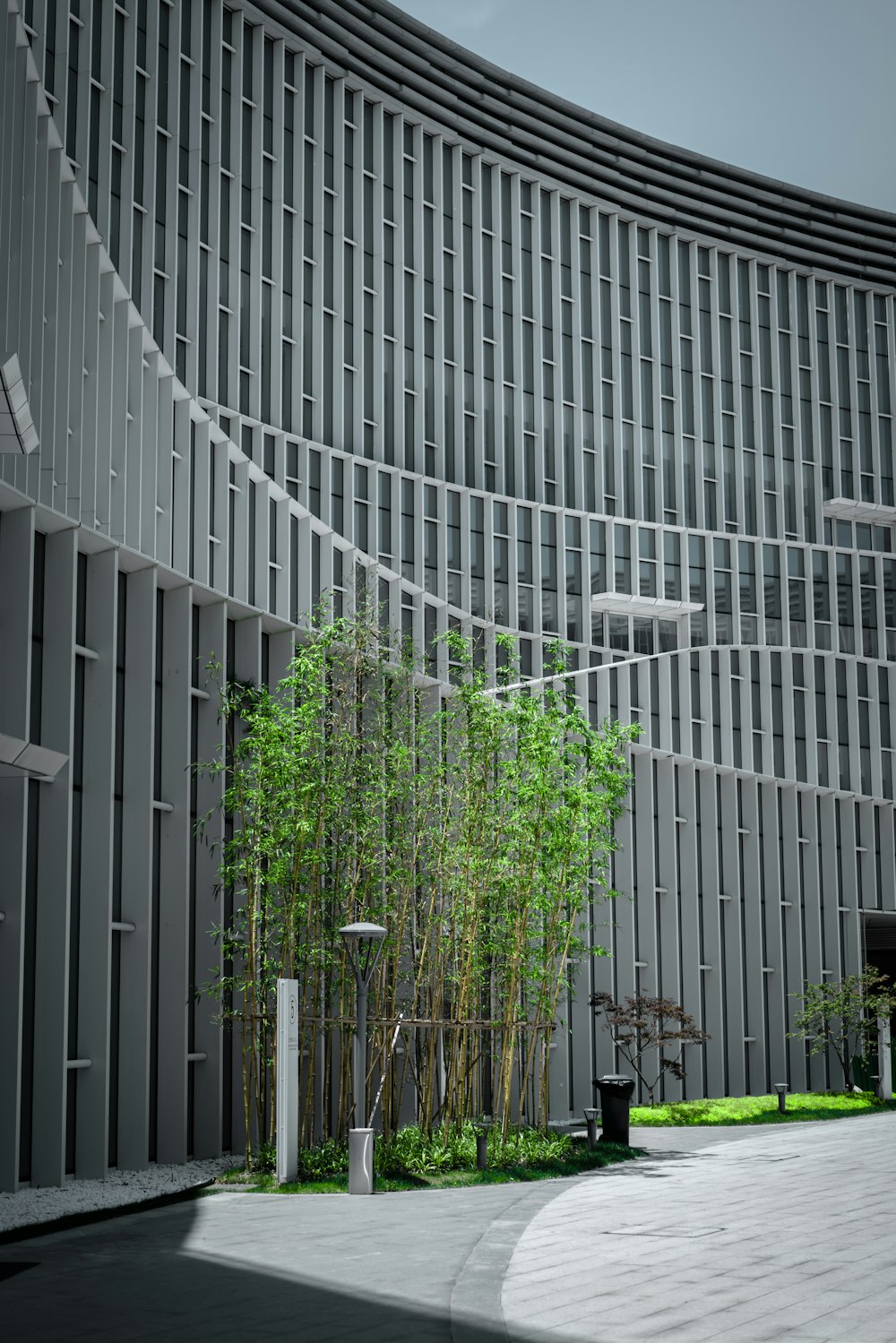 green plants on white concrete building