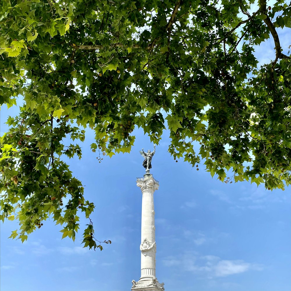 green tree under blue sky during daytime