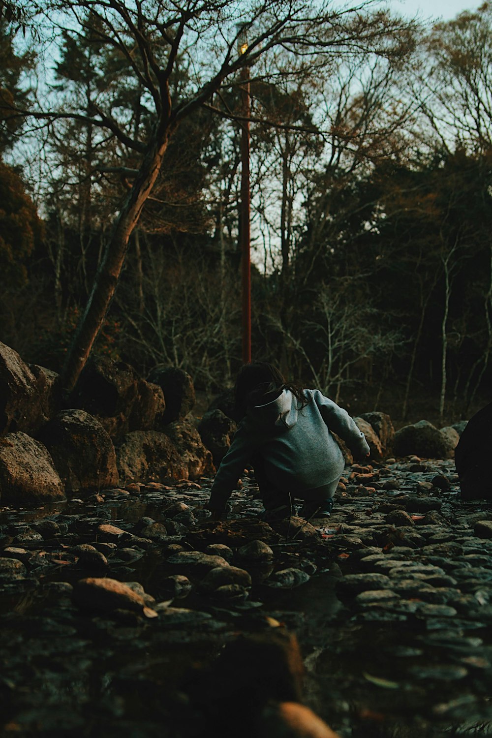 man in gray jacket and blue denim jeans sitting on rocks near trees during daytime