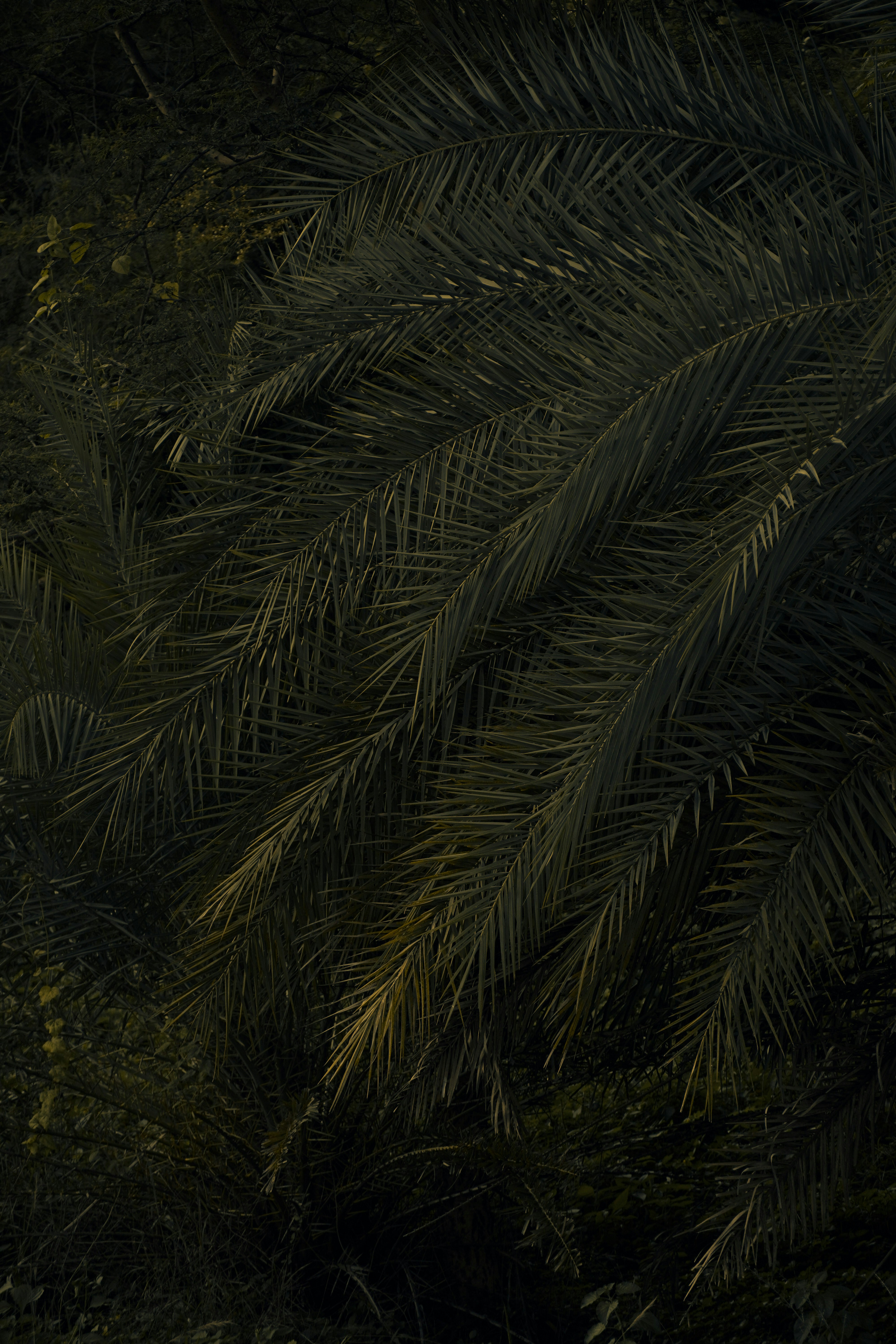 Photo by ashok_bravo