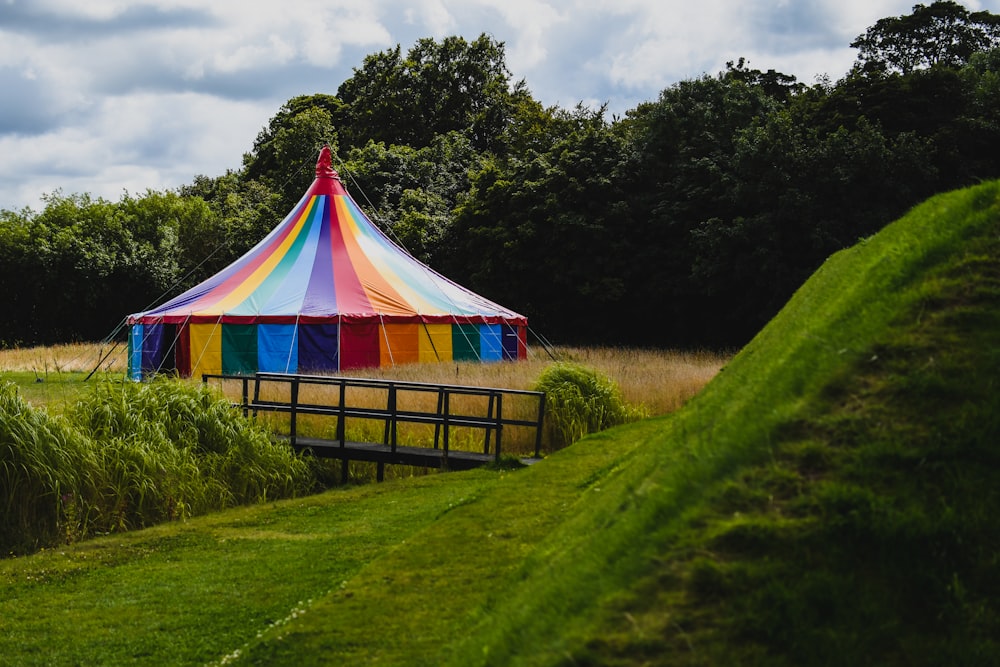 blue green and yellow hammock on green grass field