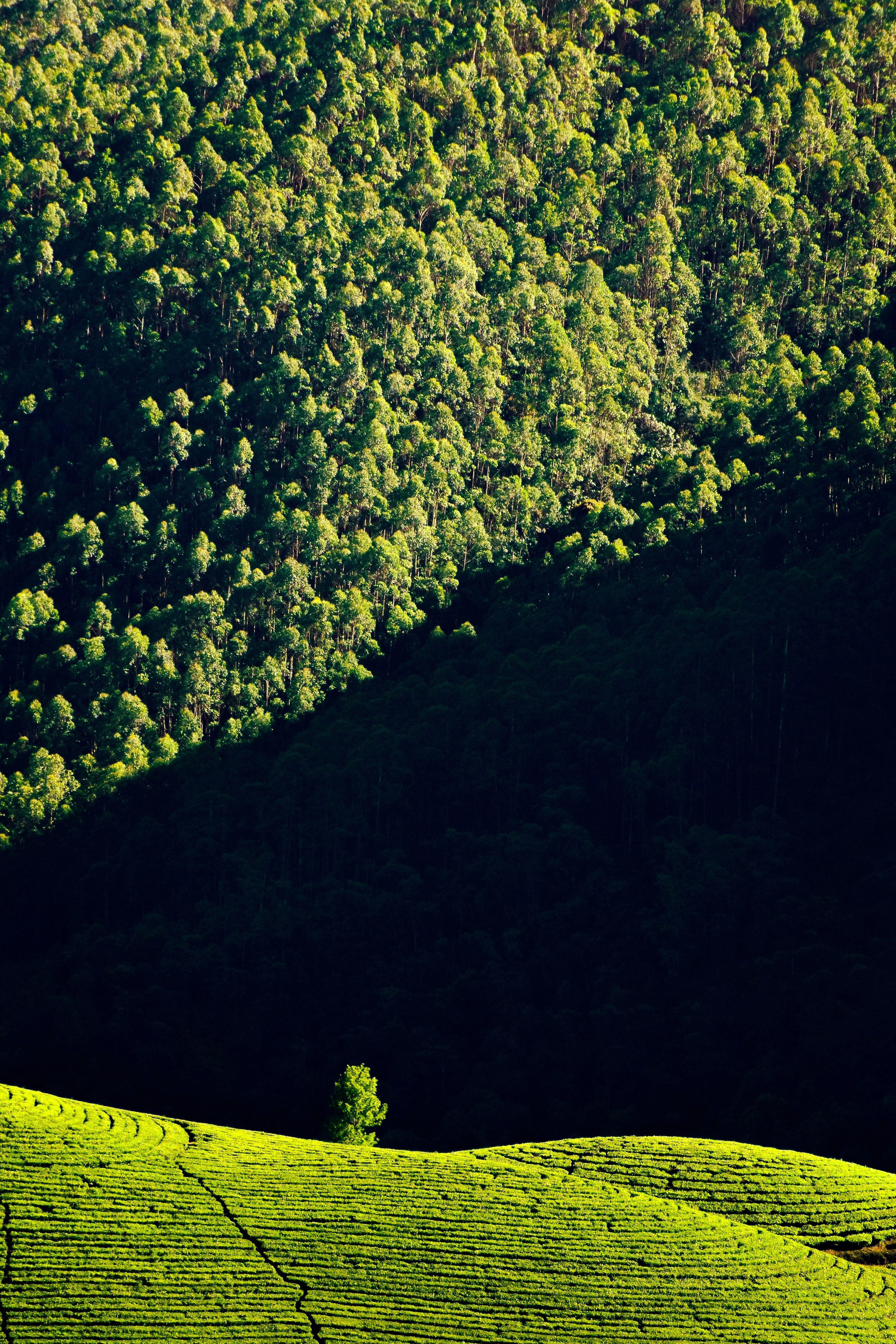 Photo by navi_photography