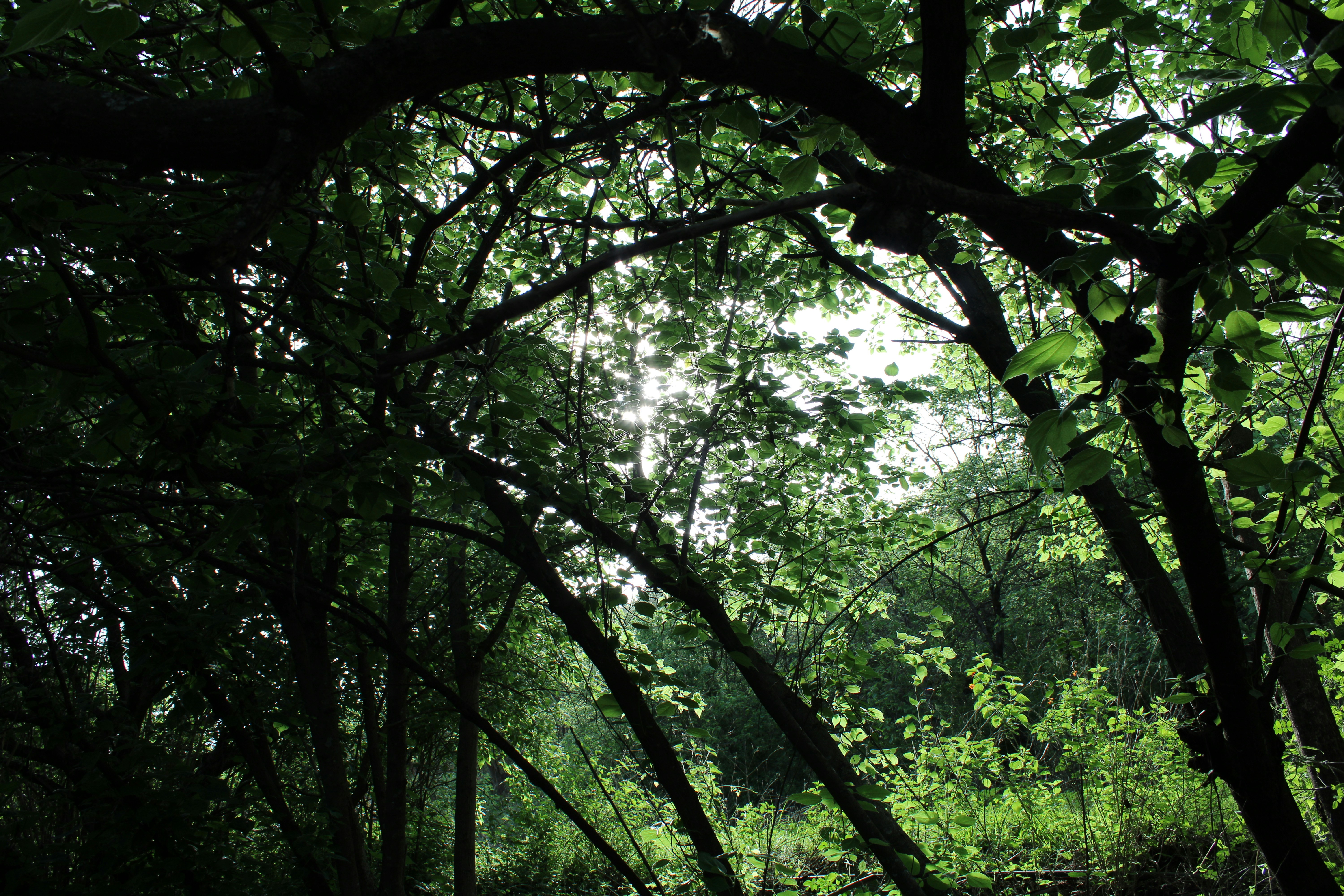 Photo by johan_04reyes