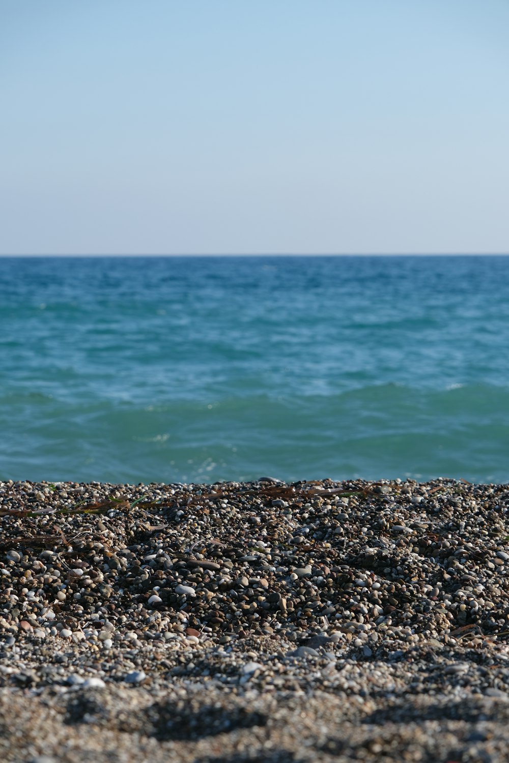 black and white stones near body of water during daytime