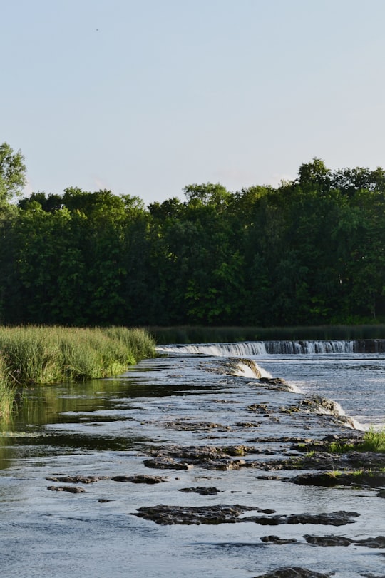 green trees beside river during daytime in Venta Rapid Latvia