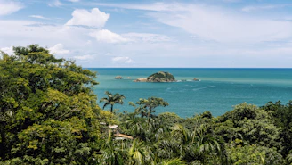 green trees near blue sea under blue sky during daytime