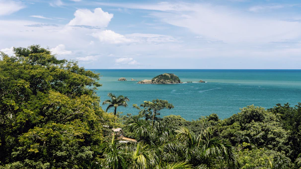 green trees near blue sea under blue sky during daytime