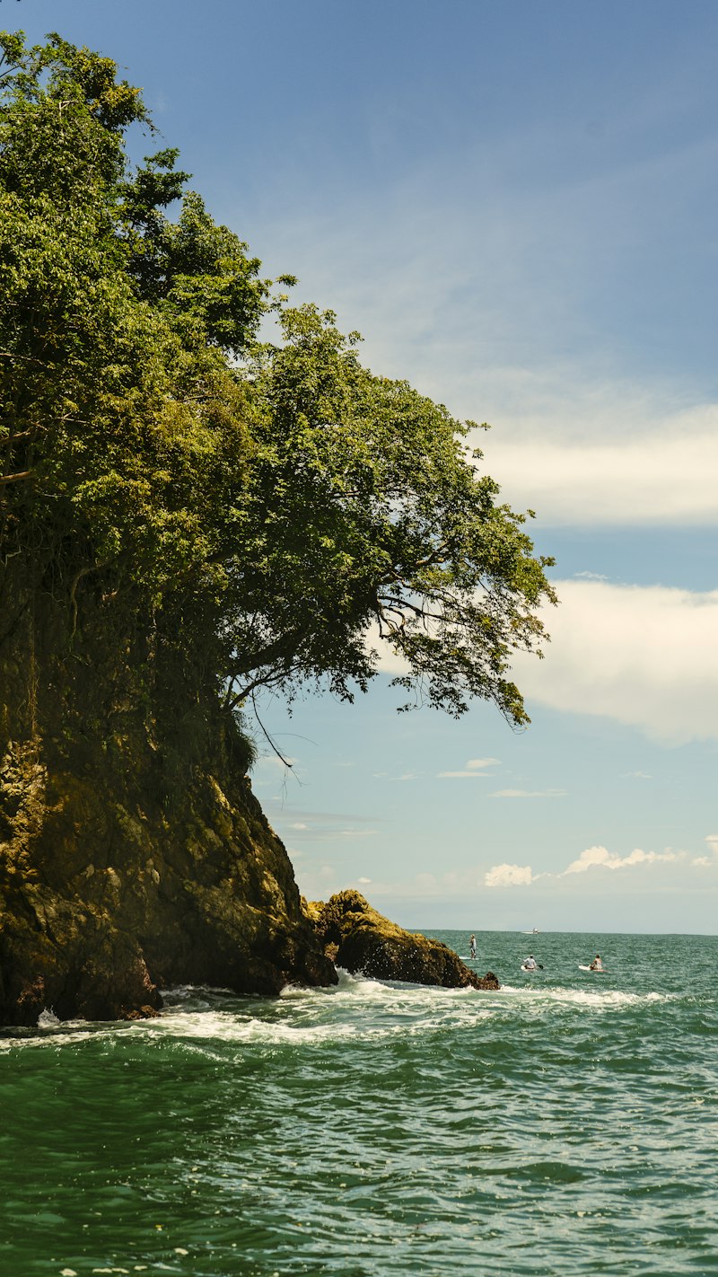 Surf Ranch Tamarindo - Boutique Surf Hotel in Costa Rica